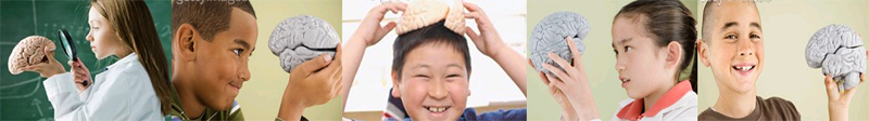 Brain development child banner